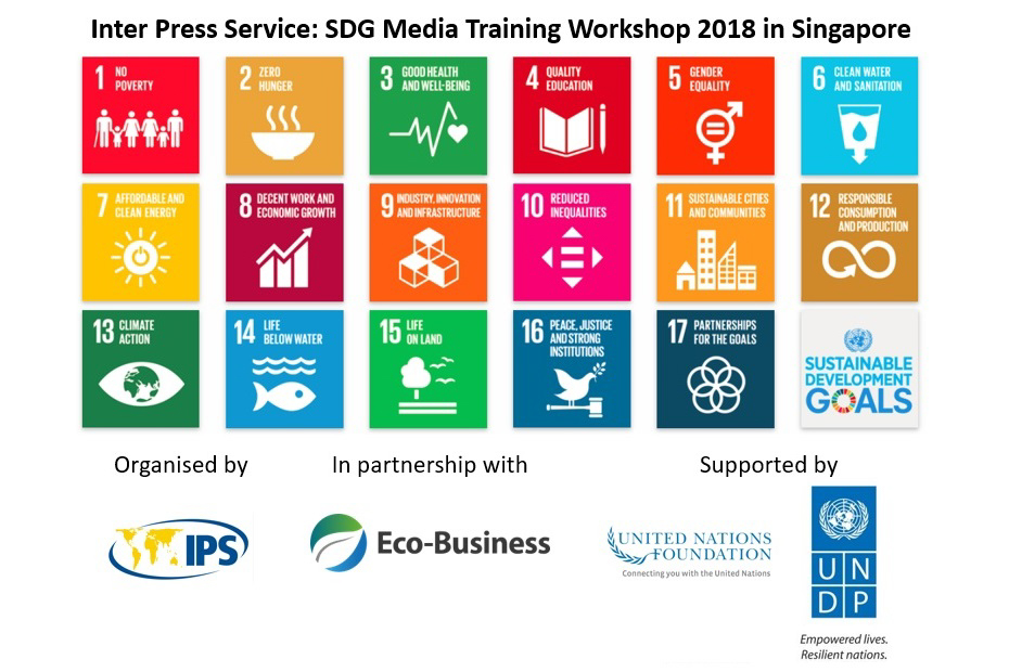 IPS SDG media workshop